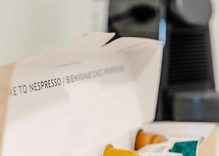 Historical Dwelling In Palazzo Terzi